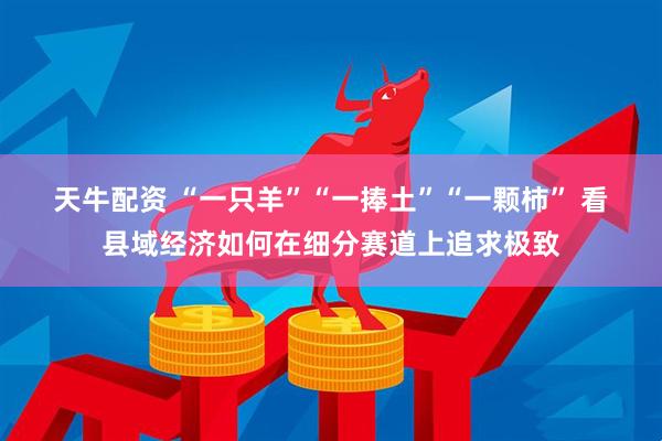 天牛配资 “一只羊”“一捧土”“一颗柿” 看县域经济如何在细分赛道上追求极致