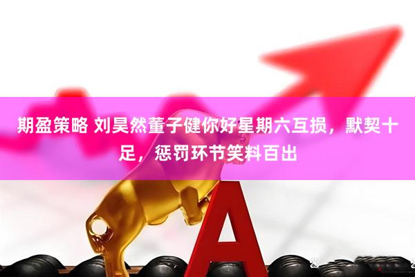期盈策略 刘昊然董子健你好星期六互损，默契十足，惩罚环节笑料百出